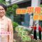 梅門陳美芳教練分享平甩功養生觀念:簡單、易學、易練 (中文字幕)