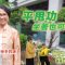 梅門陳美芳教練親自示範講解：平甩功，坐著也可做？ (中文字幕)
