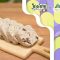 《素食教煮》Raw Food系列：香蕉合桃麵包