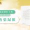源自佛教的成語「落葉歸根」: 智愍法師講解和開示