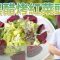 《地中海素Guide》第3季：黑醋烤紅菜頭沙律