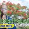 The Ordinary Buddhist: Flowers and Trees