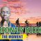 The Ordinary Buddhist: Enjoy the moment